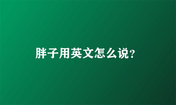 胖子用英文怎么说？