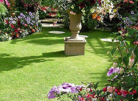 什么叫做后花园？？？