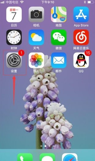 iphone的序列号是哪个