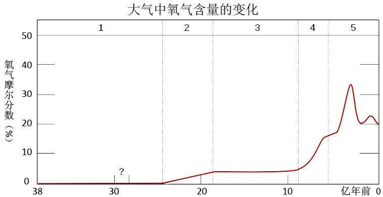 为什么人会死亡?