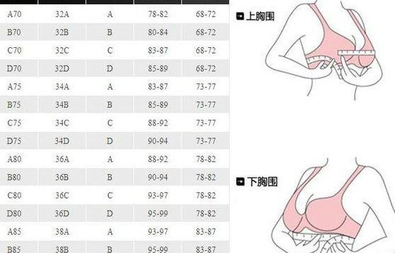 34b对应是什么尺码？