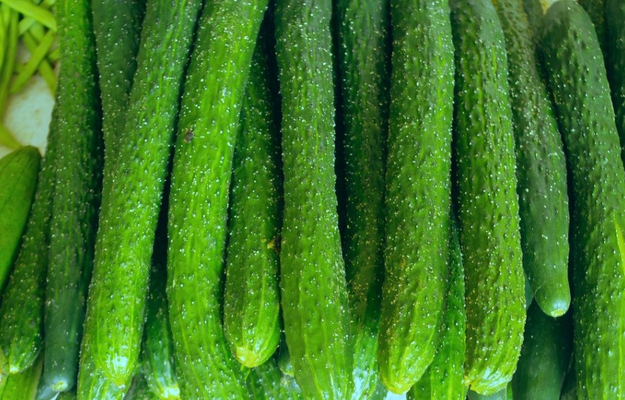 求问详解一根黄瓜的热量是多少大卡