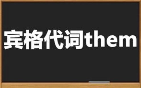 them是什么意思