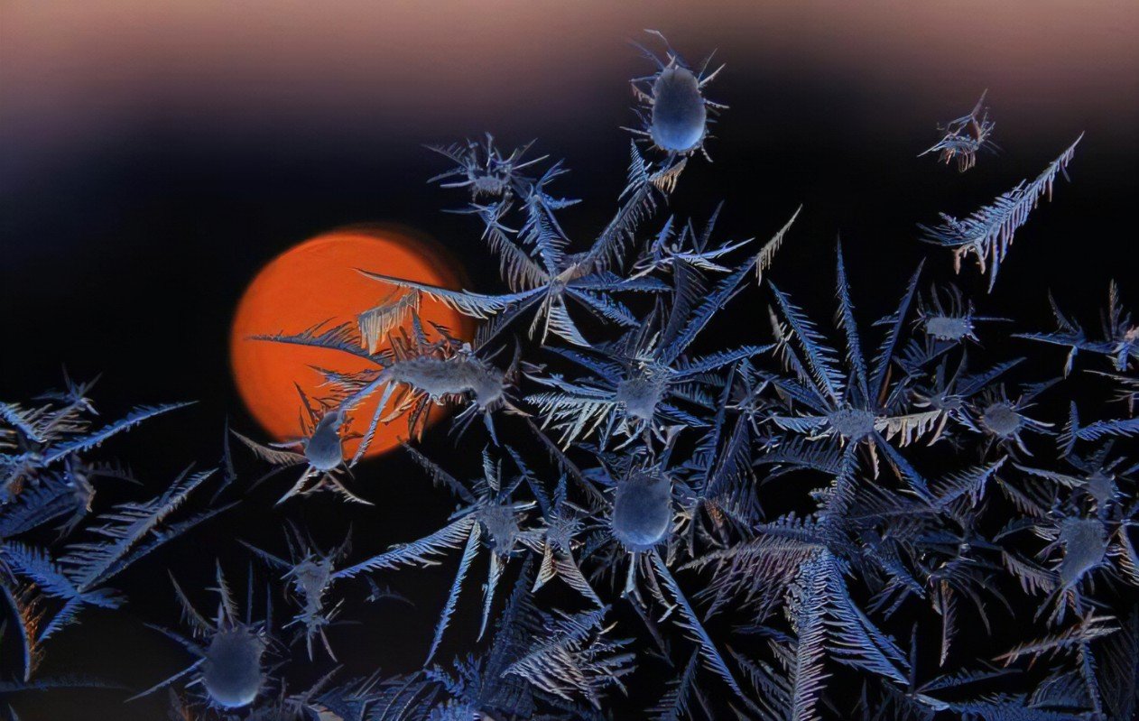 东北冰窗花以肉眼可见速度形成，东北的温度为何这么低？