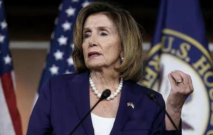 佩洛西是干什么的