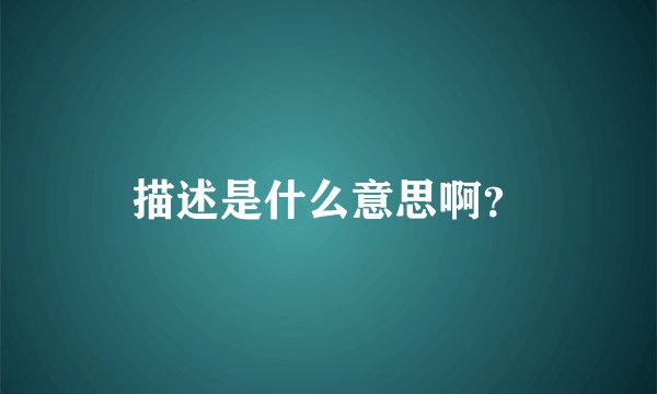 描述是什么意思啊？