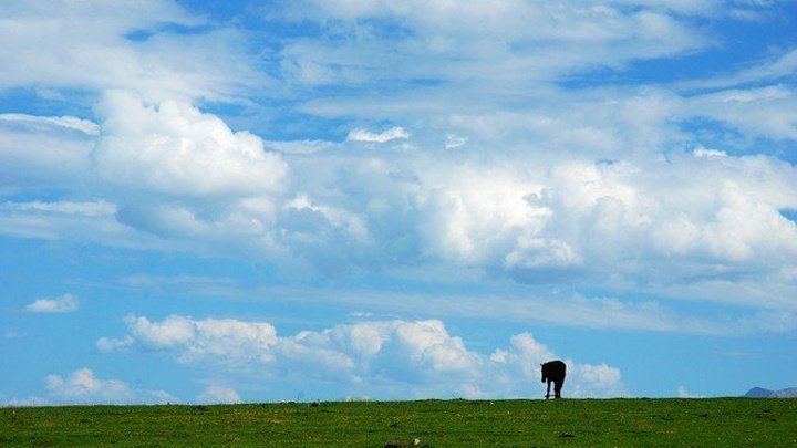 艳阳高照的意思