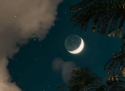 今晚月色真美什么意思下一句是什么