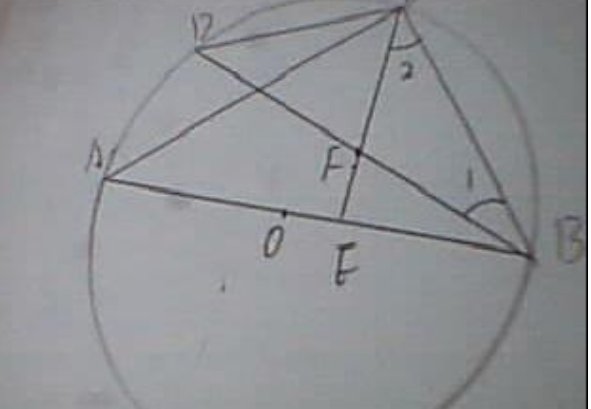 圆心角和圆周角二者的关系是什么？