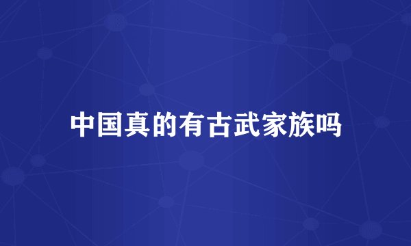 中国真的有古武家族吗