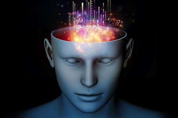 意识的能动作用是什么？