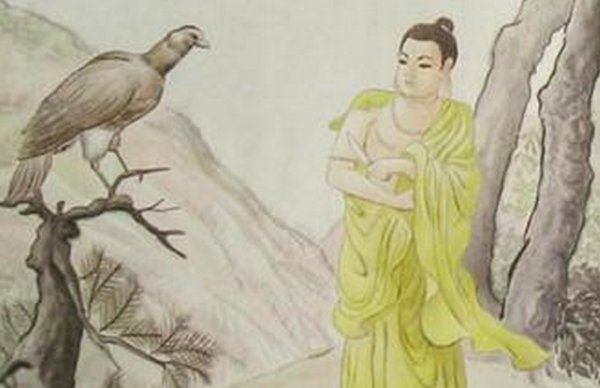 佛祖割肉喂鹰的故事出自那本书？