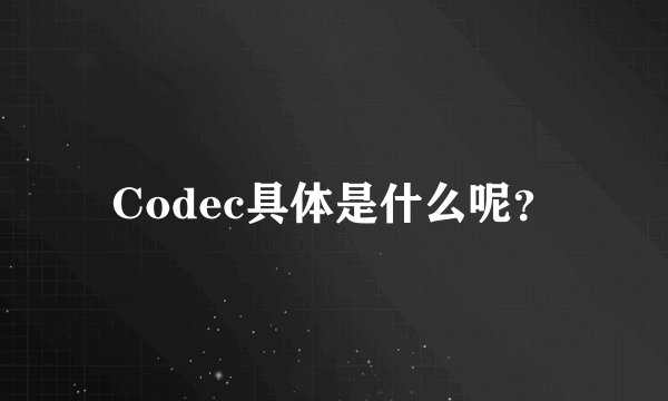 Codec具体是什么呢？