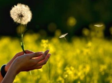 什么的微笑填词语