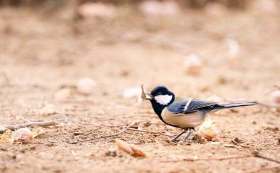 九宫格构图定义