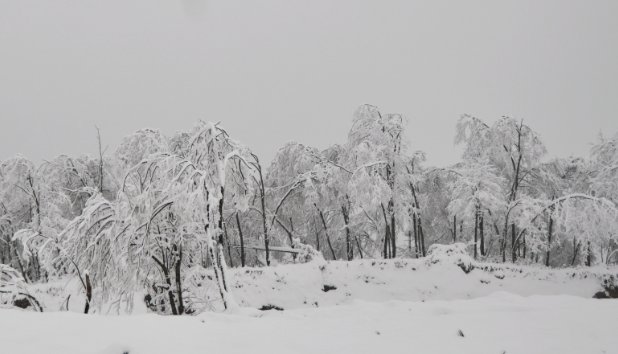 大雪无痕是什么意思啊？？