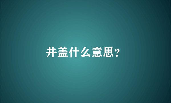 井盖什么意思？