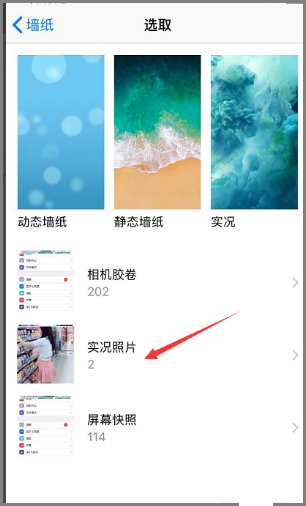 苹果ipad该如何设置动态壁纸
