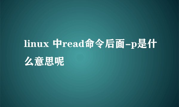 linux 中read命令后面-p是什么意思呢