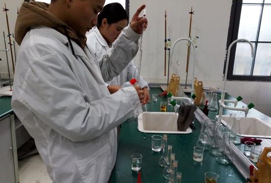 二氧化碳和氢氧化钠反应的化学方程式是什么？