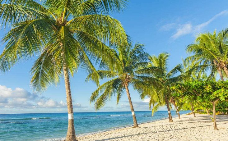 夏天英语怎么写？