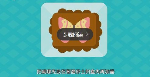 怎样制作蝴蝶标本