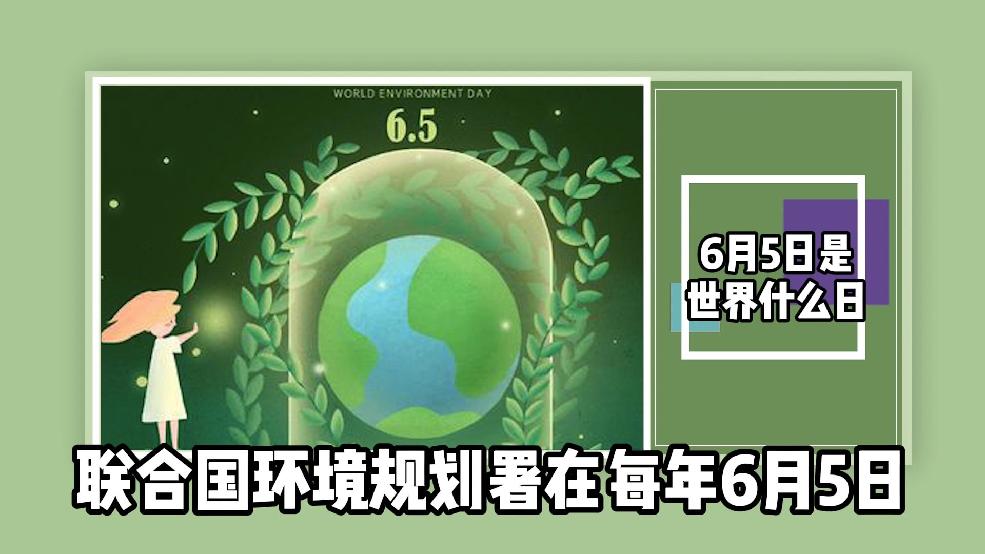 6月5日是世界什么日子