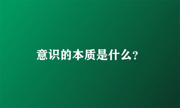 意识的本质是什么？