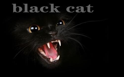 BLACK是什么颜色