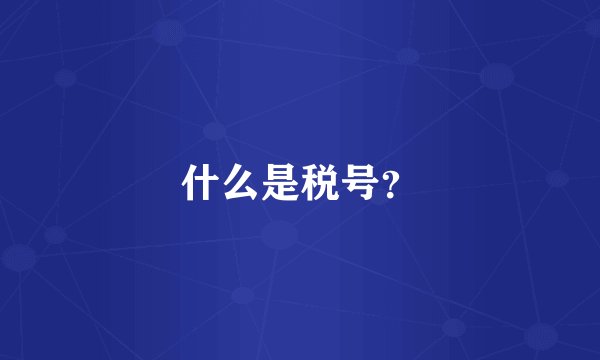 什么是税号？