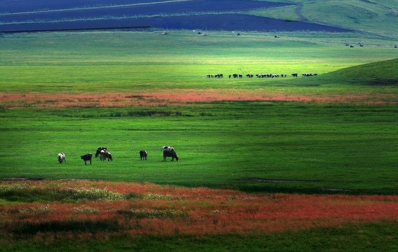 华北是指哪几个省