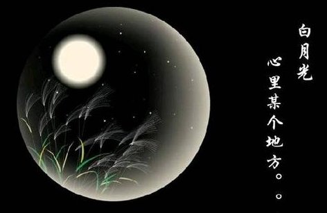 白月光是什么意思？
