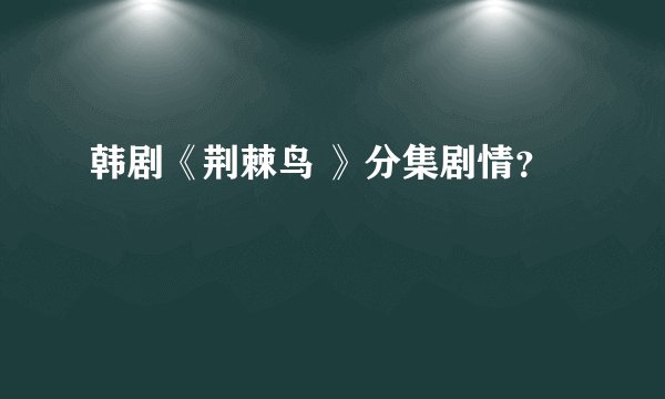 韩剧《荆棘鸟 》分集剧情？