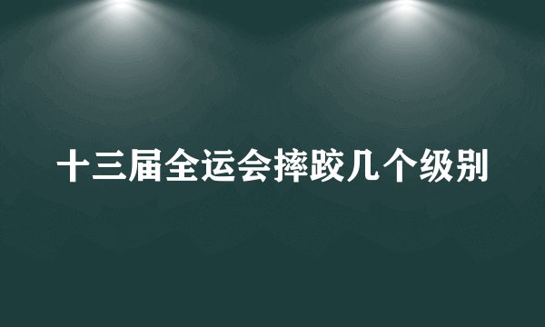 十三届全运会摔跤几个级别