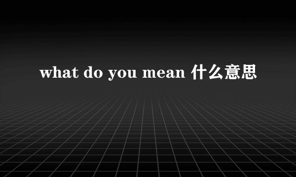 what do you mean 什么意思