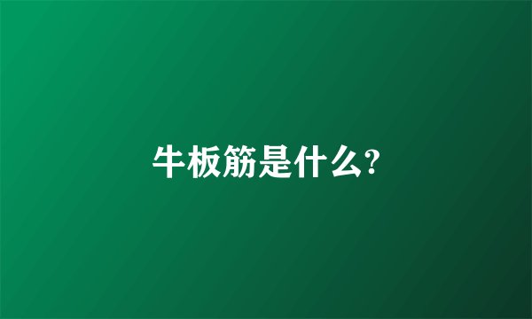 牛板筋是什么?