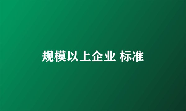 规模以上企业 标准