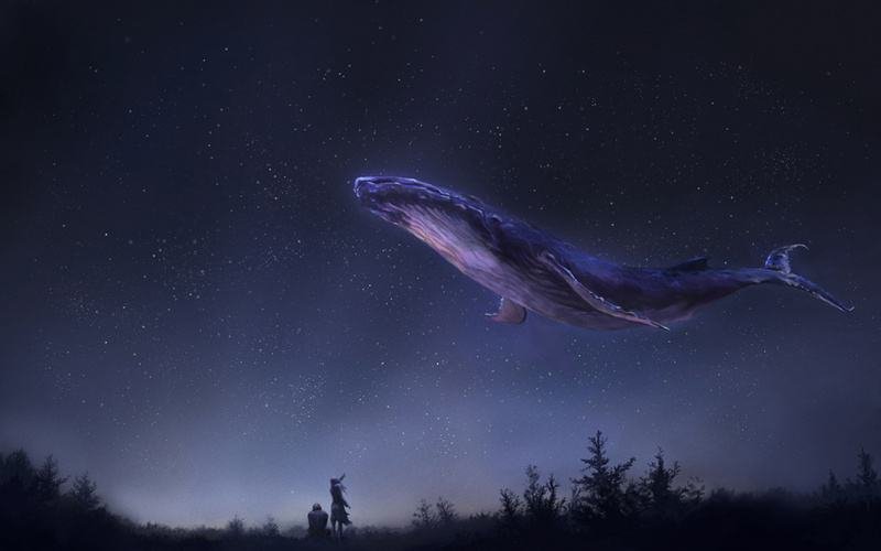 鲲是什么样的？