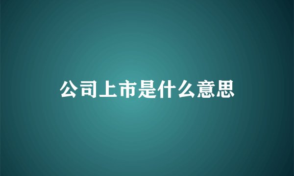 公司上市是什么意思