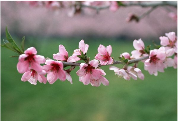 春光乍泄是什么意思？