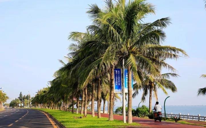 海南省会是三亚还是海口??