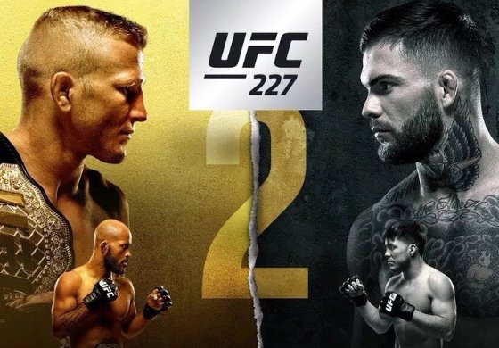 mma和ufc有什么区别？