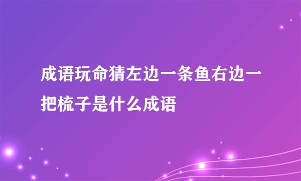 成语玩命猜左边一条鱼右边一把梳子是什么成语