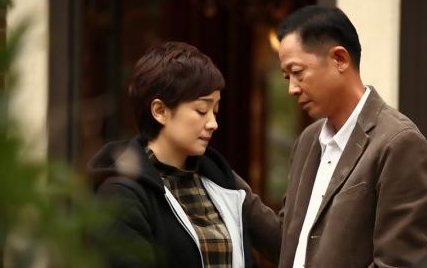 张仲平是哪部电视剧的人物？