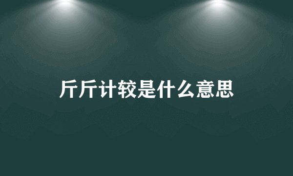 斤斤计较是什么意思