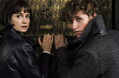 神奇动物2怎么没了