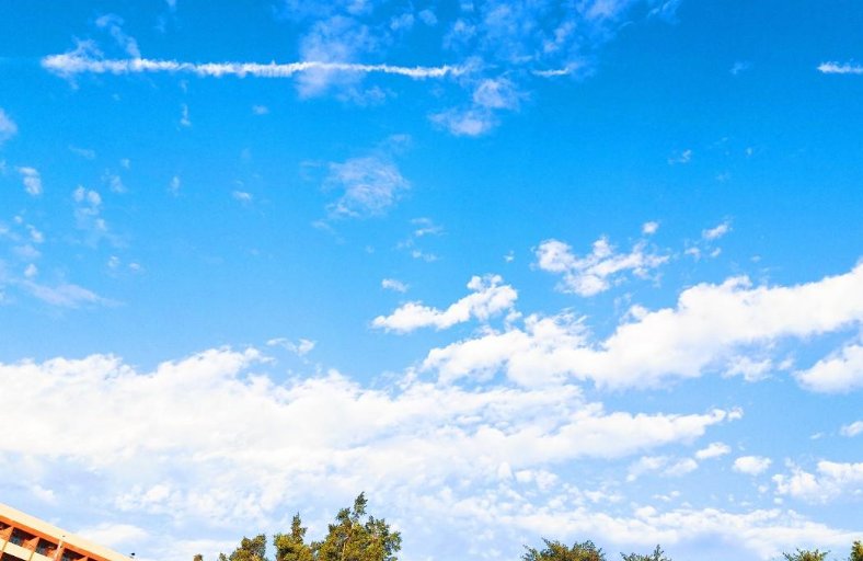 niceday是什么意思？