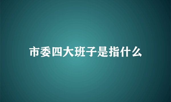 市委四大班子是指什么