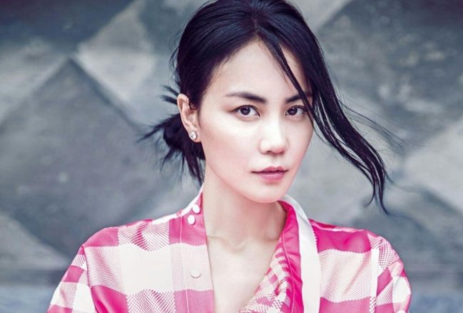 王菲的 明月几时有 的歌词