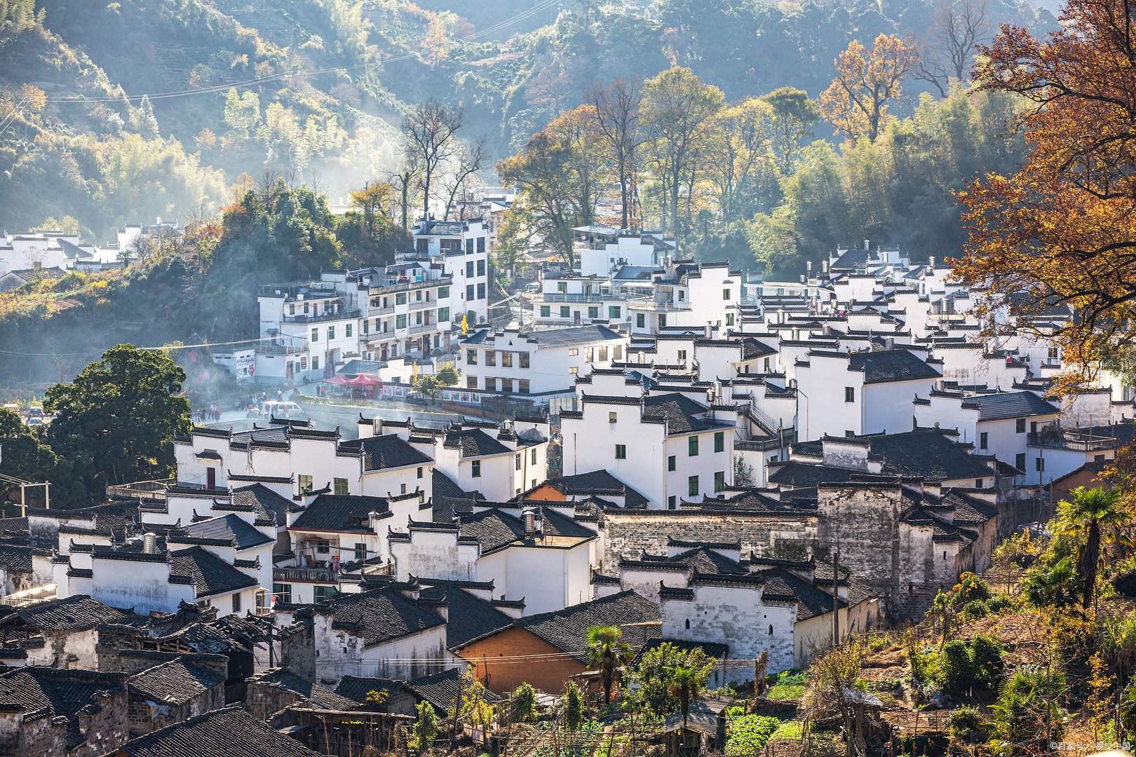 怎么知道自己有没有居住证